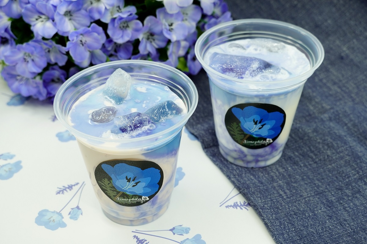 県産のフルーツとオミタマヨーグルトを使ったネモフィラブルーラッシー。いちごとゆずはちみつの2フレーバーで各550円