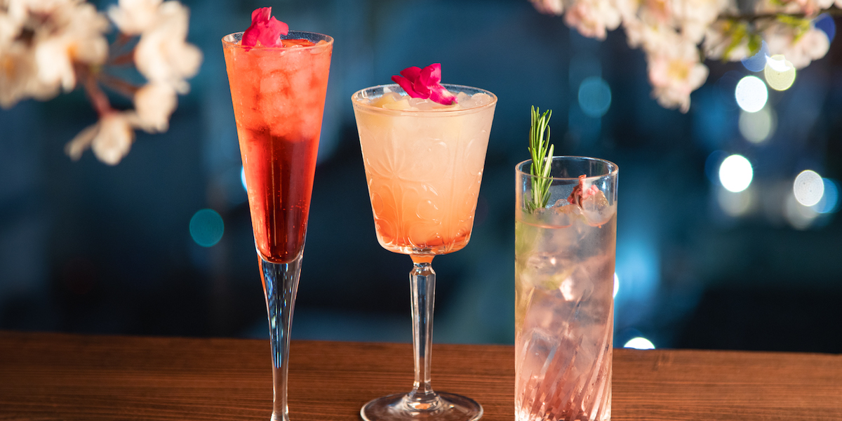 渋谷の夜景と桜を楽しめる！2名専用スカイレストラン「渋谷Blue bird」にて「夜桜 × 夜景 -YOZAKURA-」開催中