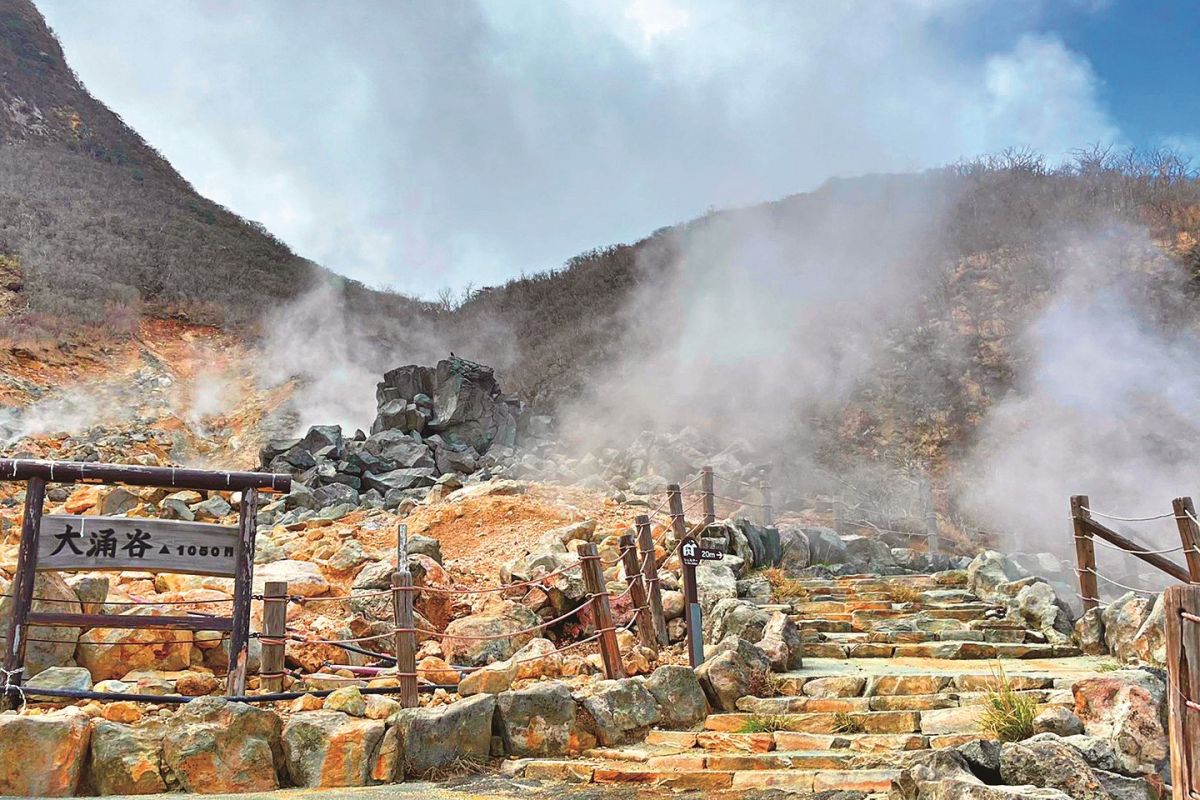 入場はウェブからの事前予約制（キャッシュレス決済のみ）