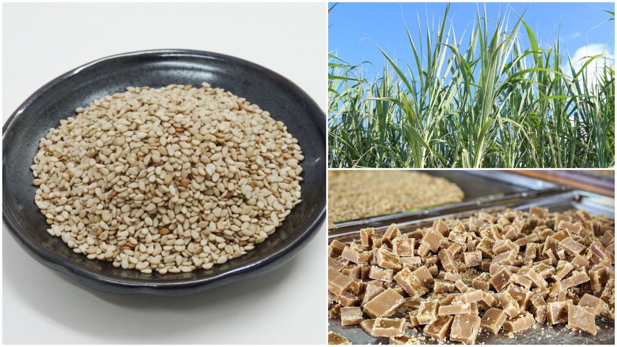 提供：喜界島観光物産協会