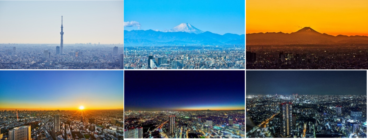 てんぼうの丘方面から見ることができる景色（南側）