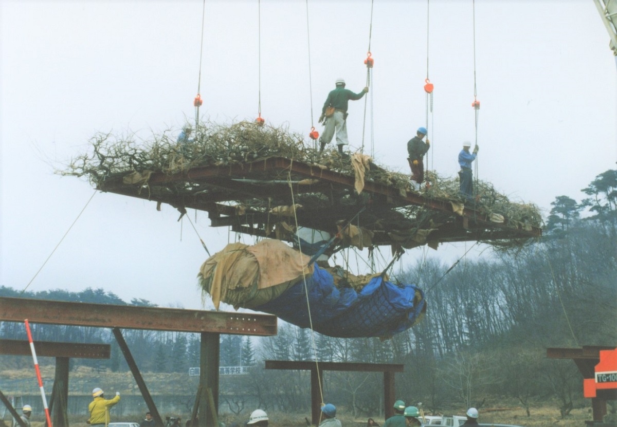 運搬用トレーラーに乗せられる大藤