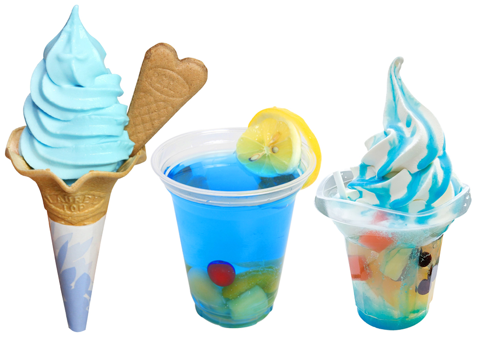 ネモフィラ祭り2023