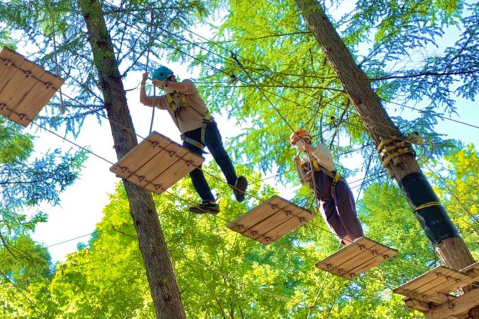 ネモフィラ祭り2023