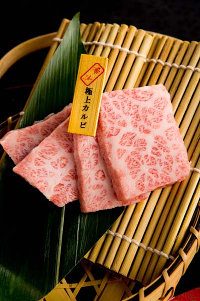 ◇◇◇◇◇◇◇◇◇◇◇◇◇◇◇◇◇◇