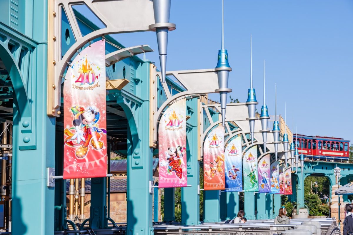 TDSポートディスカバリー