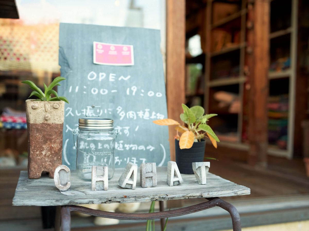 店先ではミニサイズの多肉植物も販売