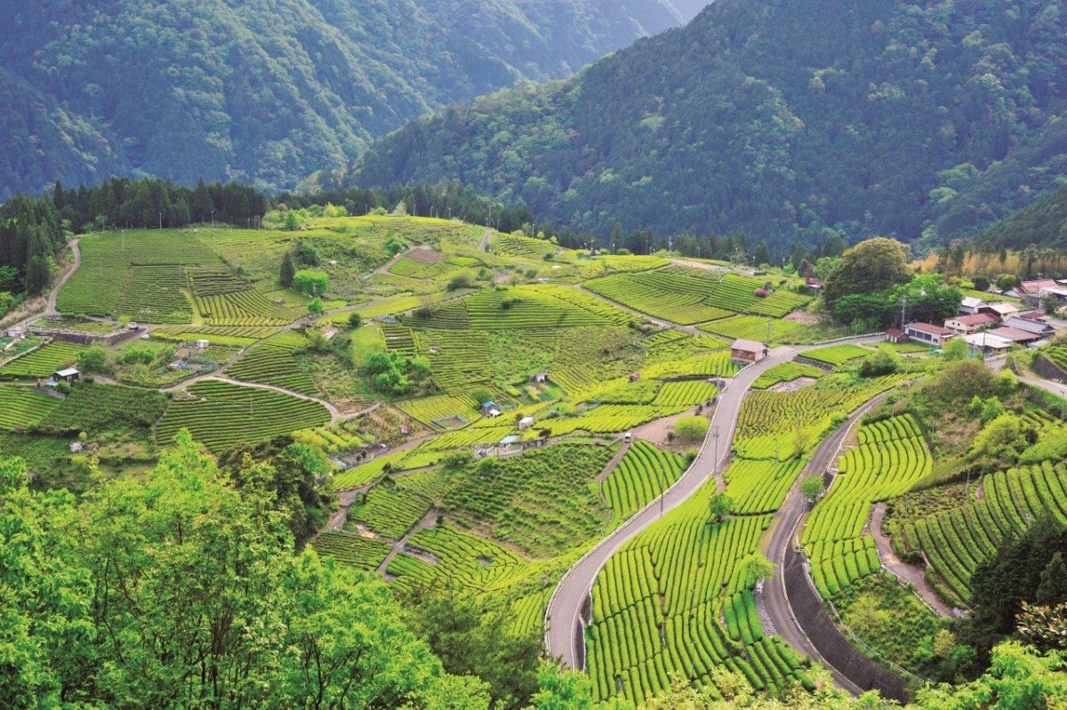 春日上ヶ流 天空の遊歩道