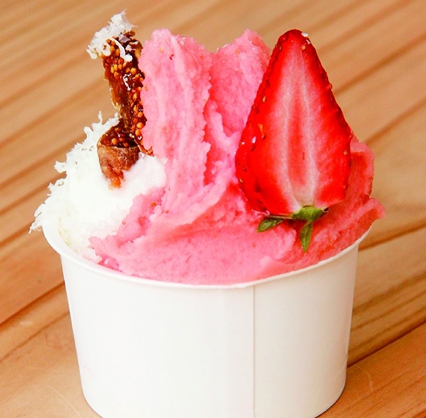 dolche studio STERRA