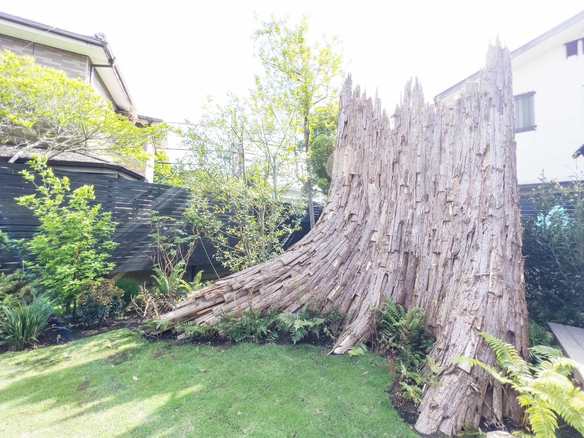 栗林隆（くりばやしたかし）「Stump 001 kamakura」