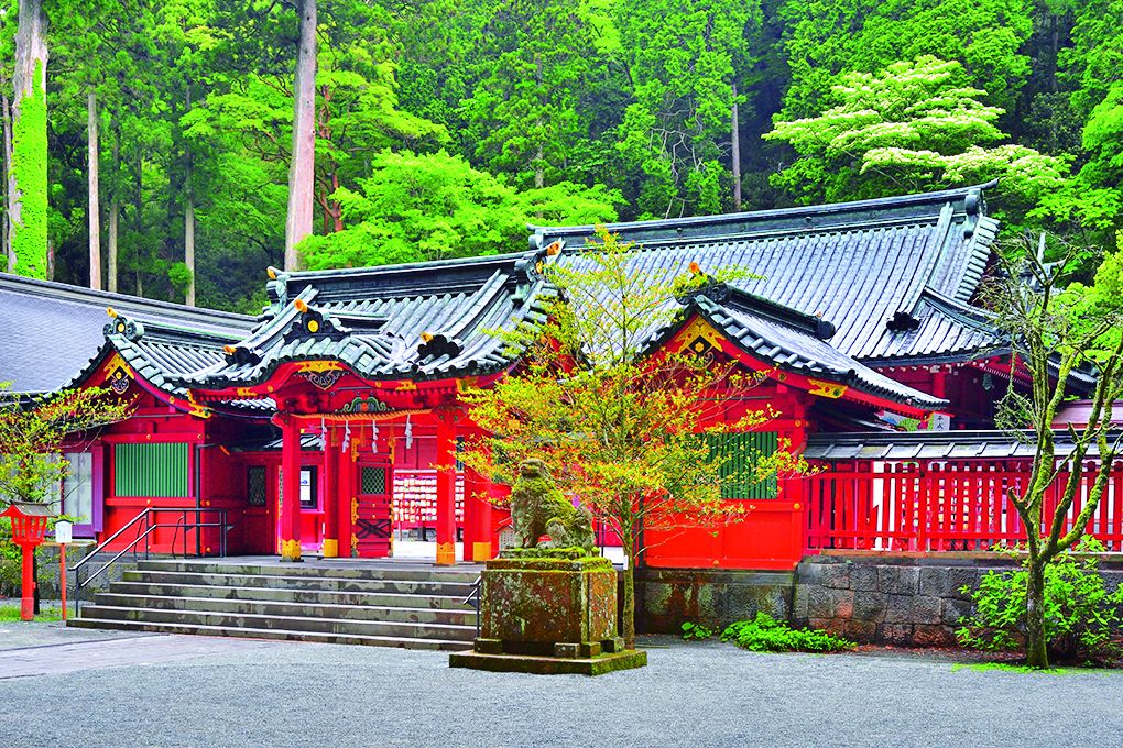 御祭神である箱根大神を祀る、朱塗りの権現造りの御社殿