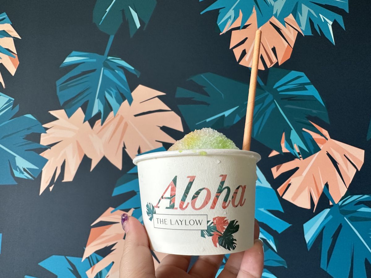 客室の壁紙の前で撮影したシェイブアイス