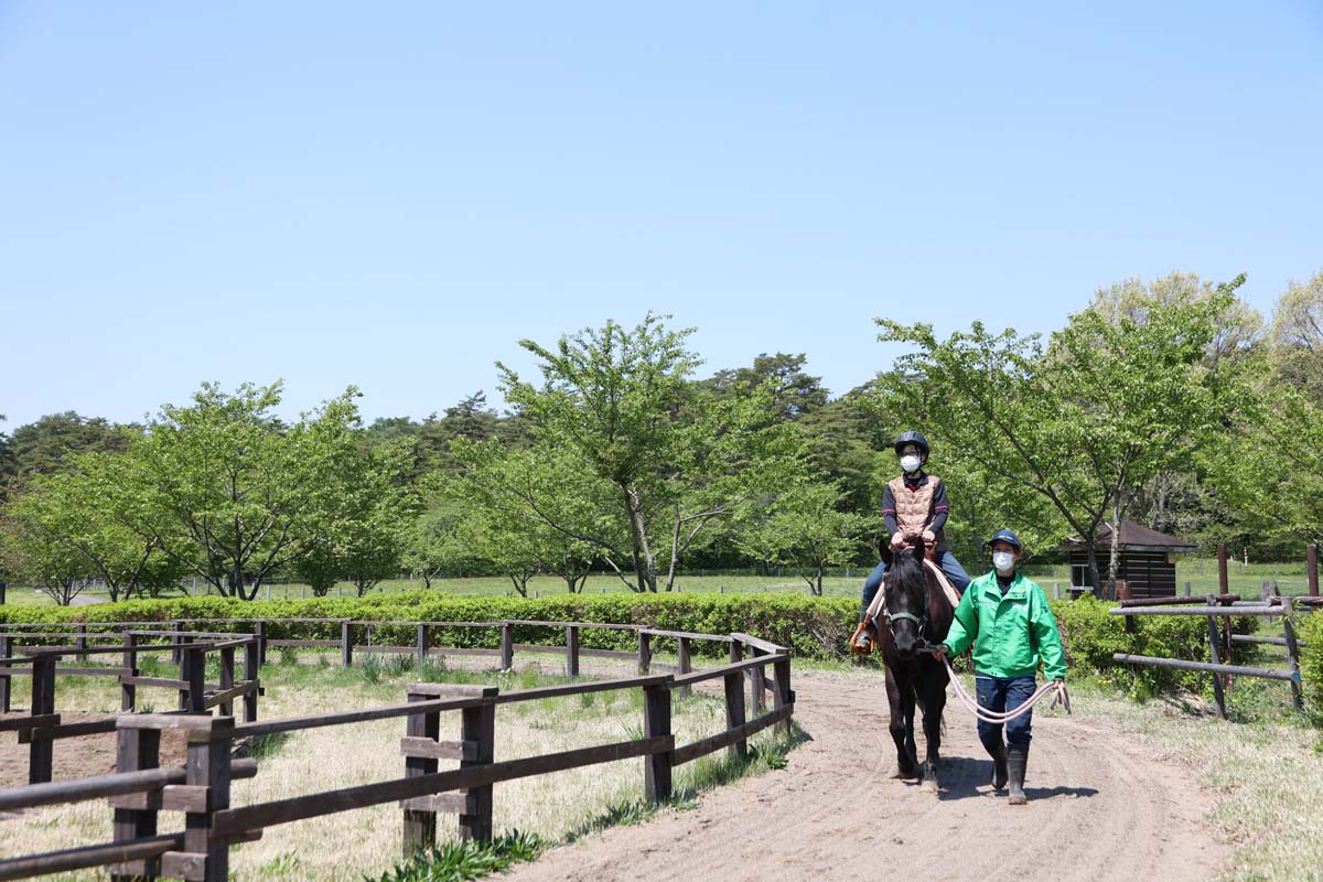 おっとりとした性格の馬なのではじめてでも安心（時間：10～12時、13時～15時30分、料金：800円）