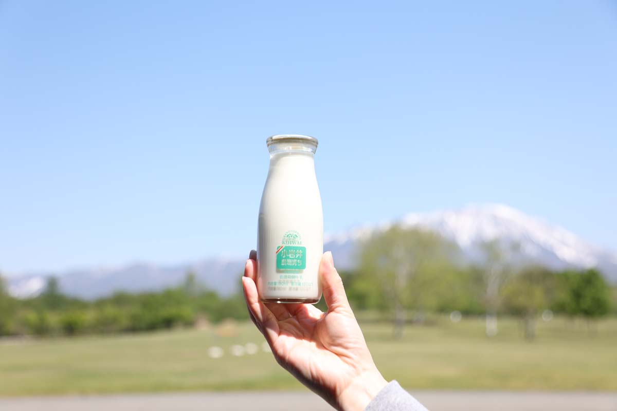 「小岩井低温殺菌牛乳」90ml 130円