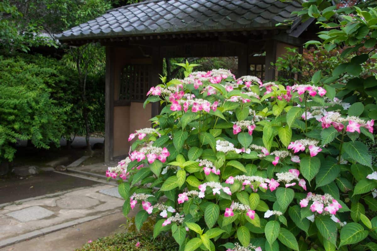 画像提供：PIXTA