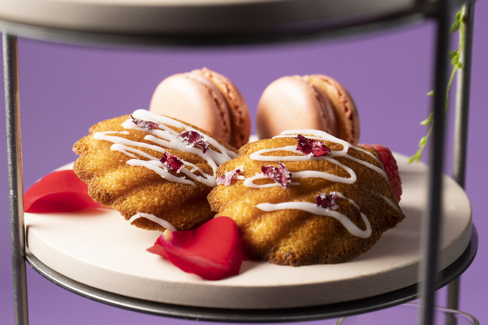 4段目　イメージ