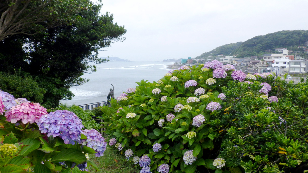 画像提供：（公財）鎌倉市公園協会