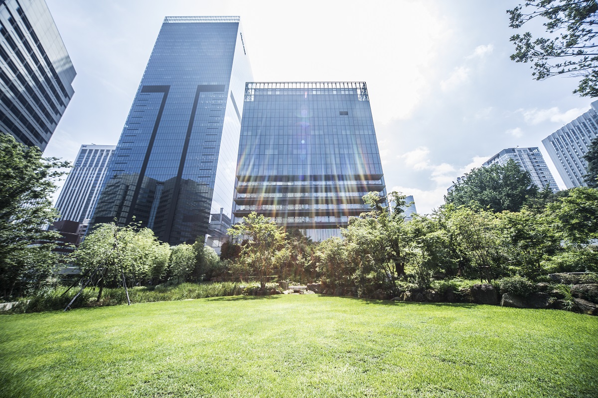 緑が美しい芝生広場