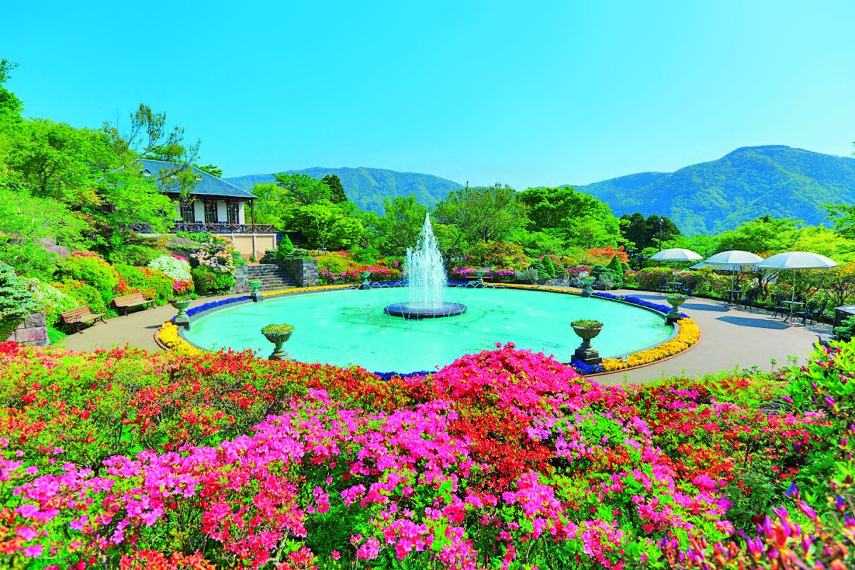 四季折々の花をフランス式で楽しむ「箱根強羅公園」