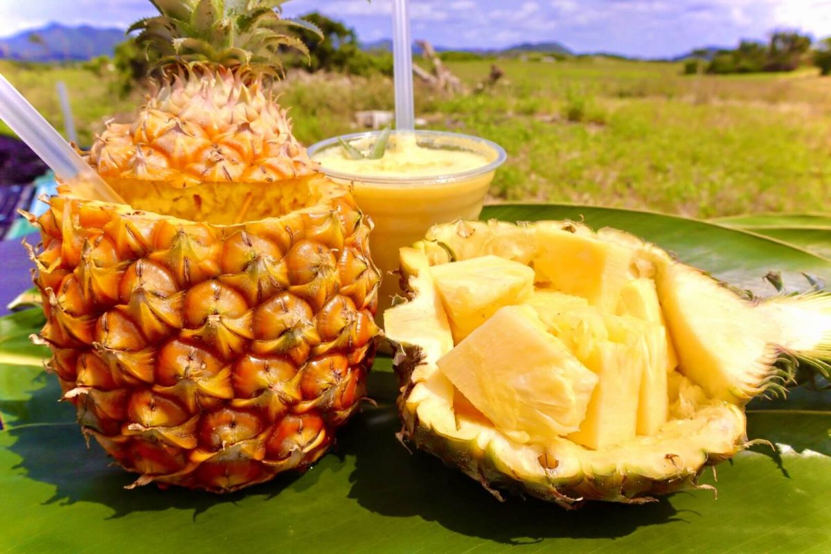 カットパイン (右)　500円