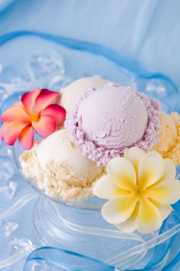 カップアイス (各種)　380円