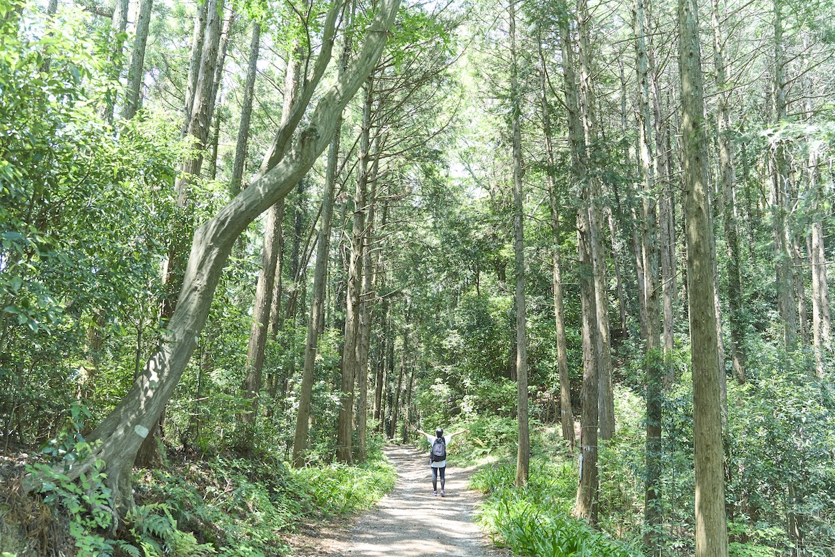 青梅丘陵ハイキングコース