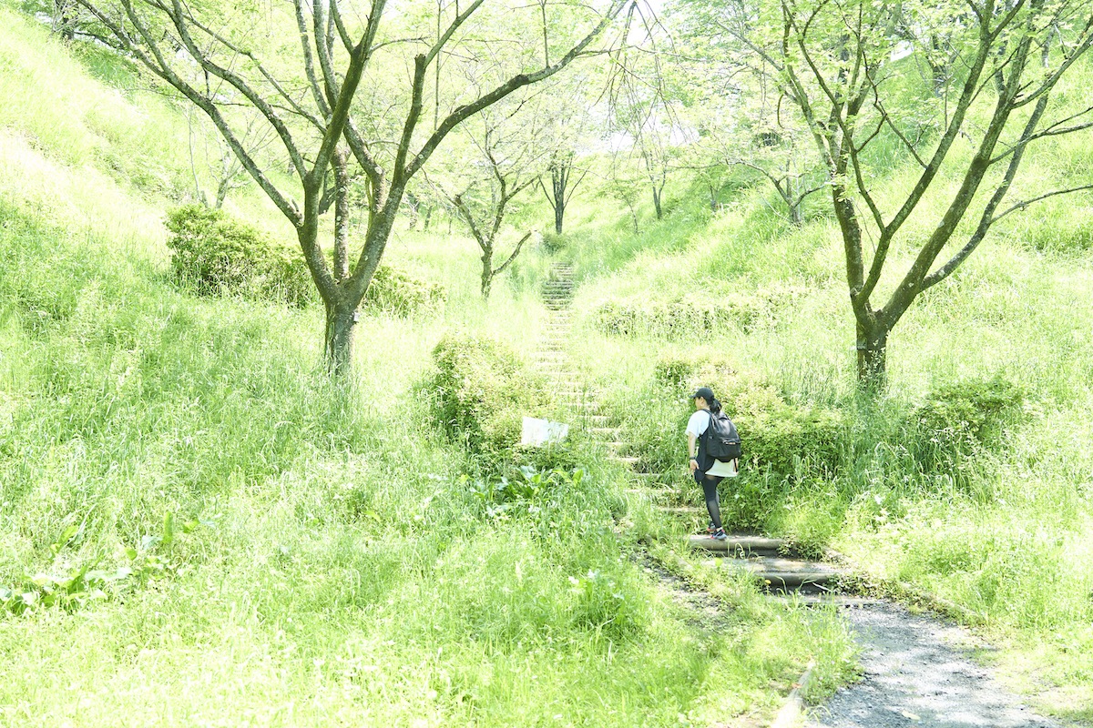 青梅丘陵ハイキングコース