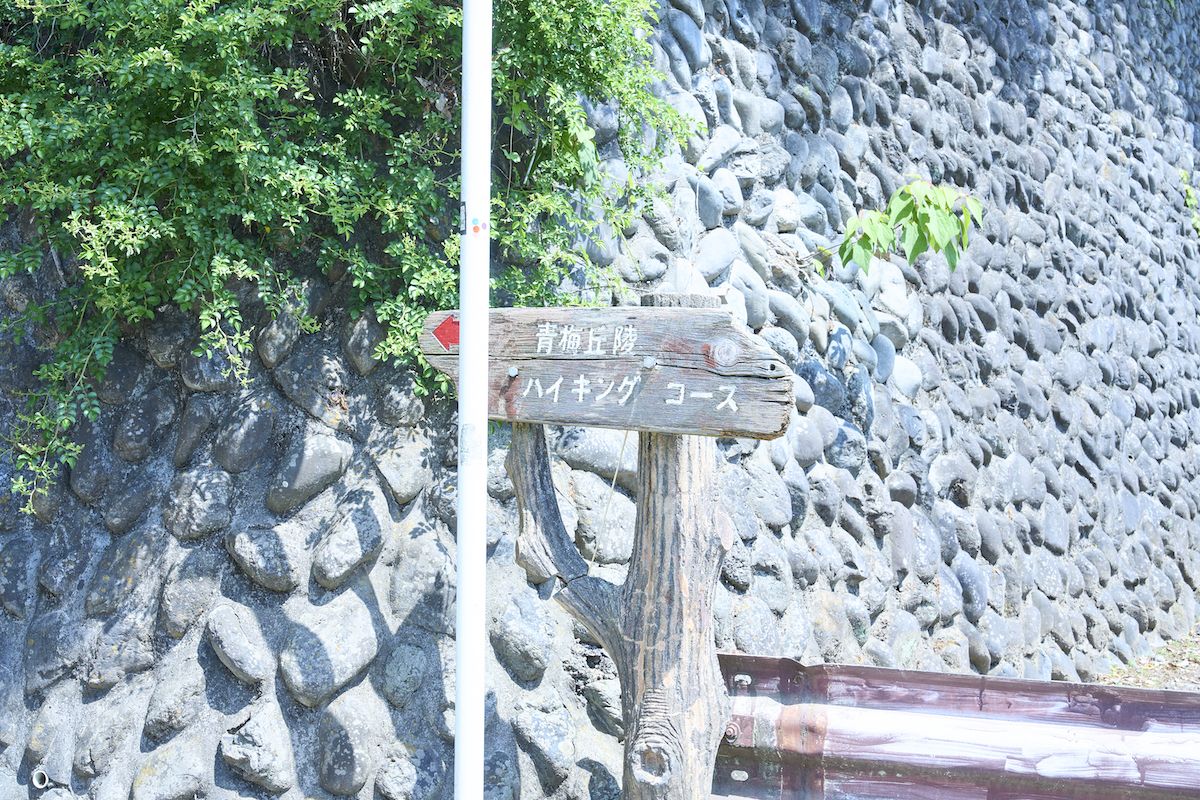 青梅丘陵ハイキングコース