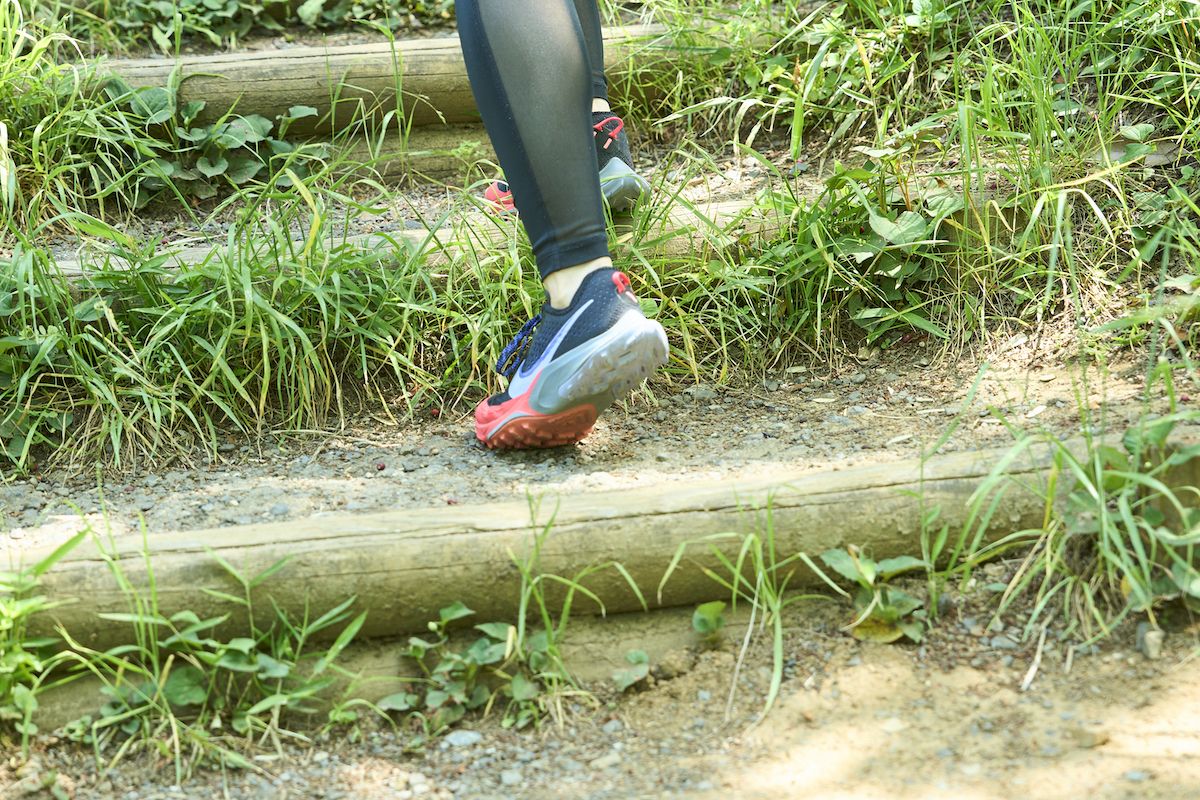 青梅丘陵ハイキングコース