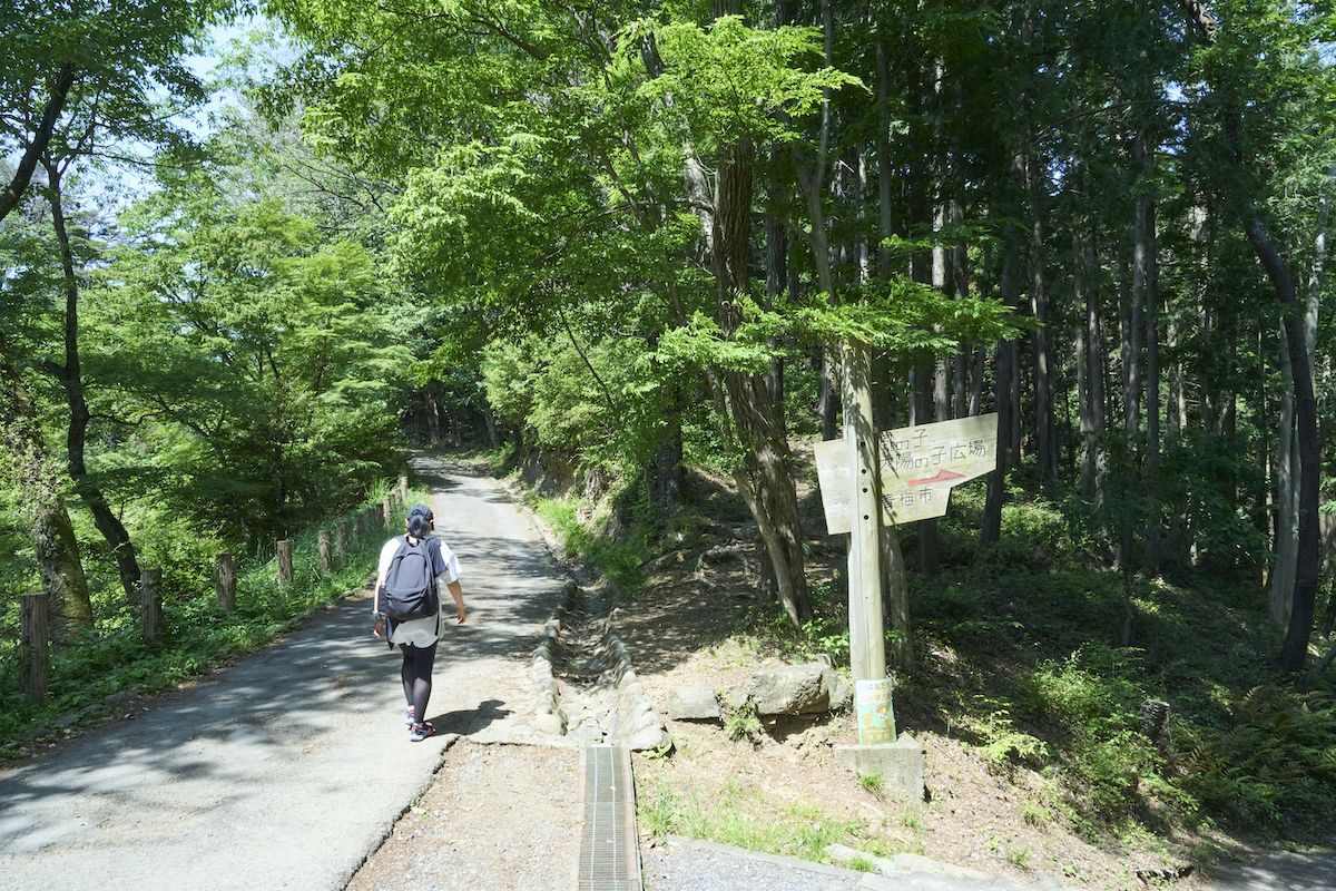 青梅丘陵ハイキングコース