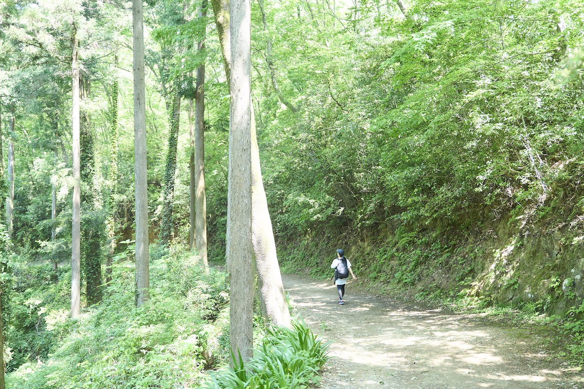 青梅丘陵ハイキングコース