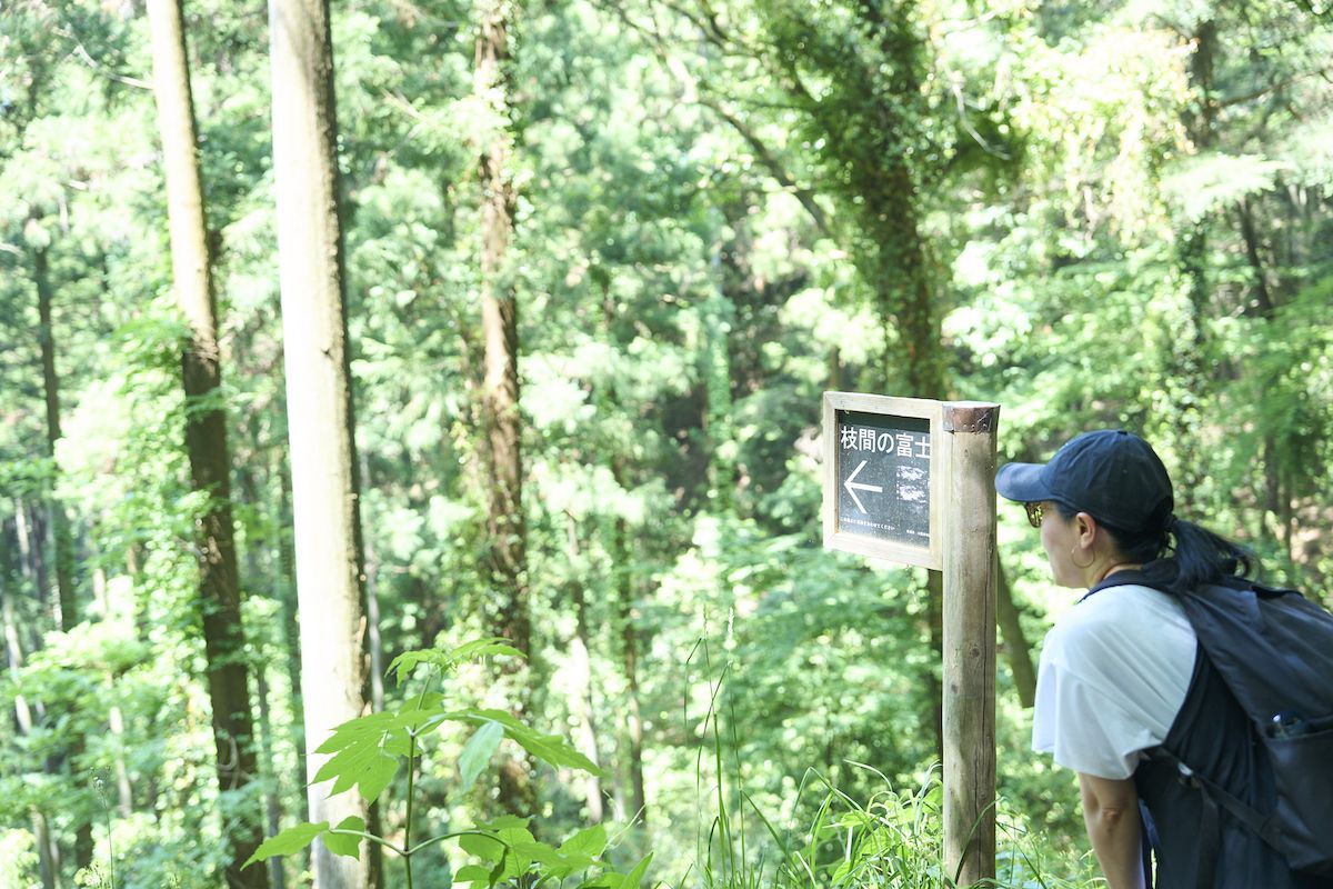 青梅丘陵ハイキングコース