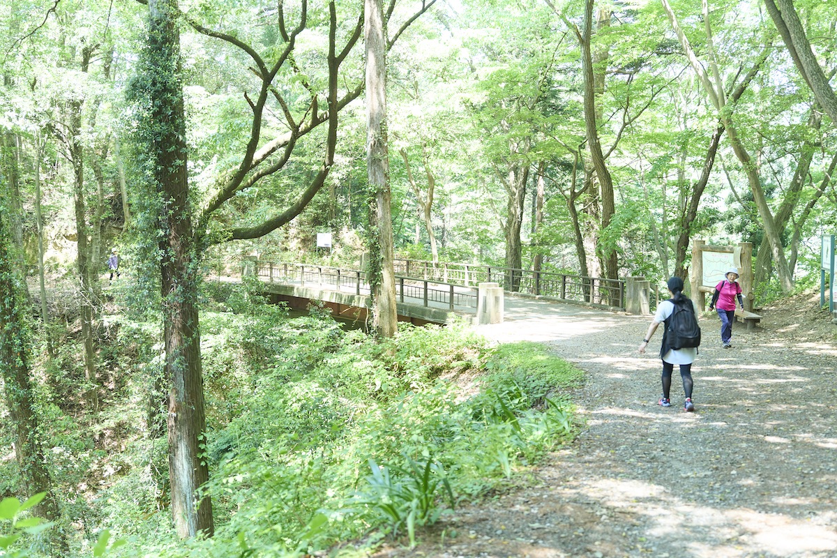 青梅丘陵ハイキングコース