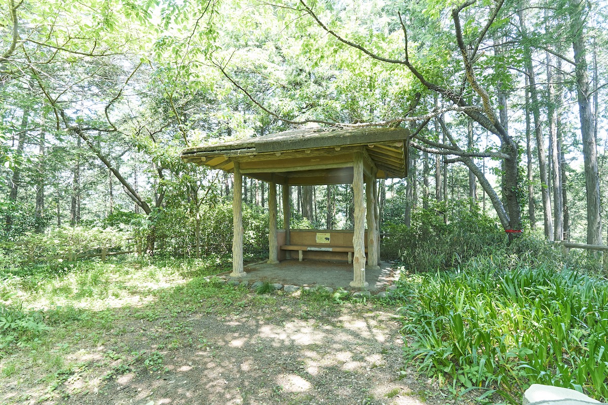 青梅丘陵ハイキングコース