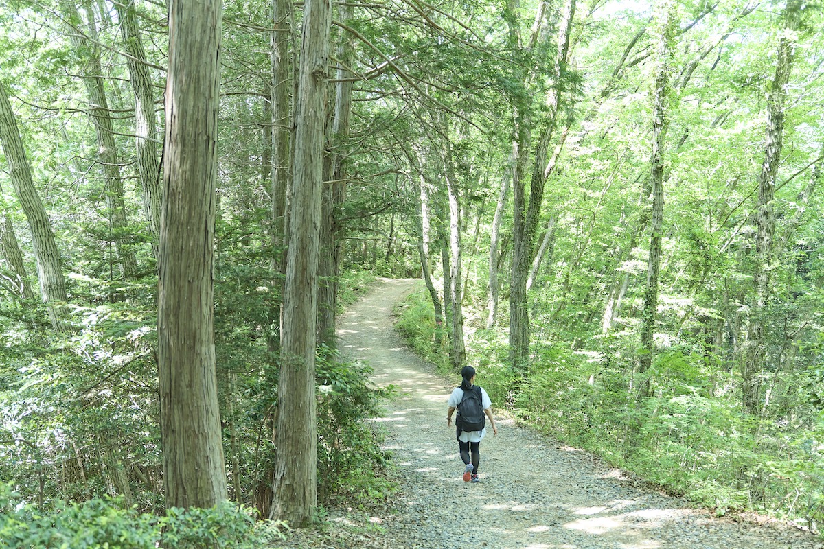 青梅丘陵ハイキングコース
