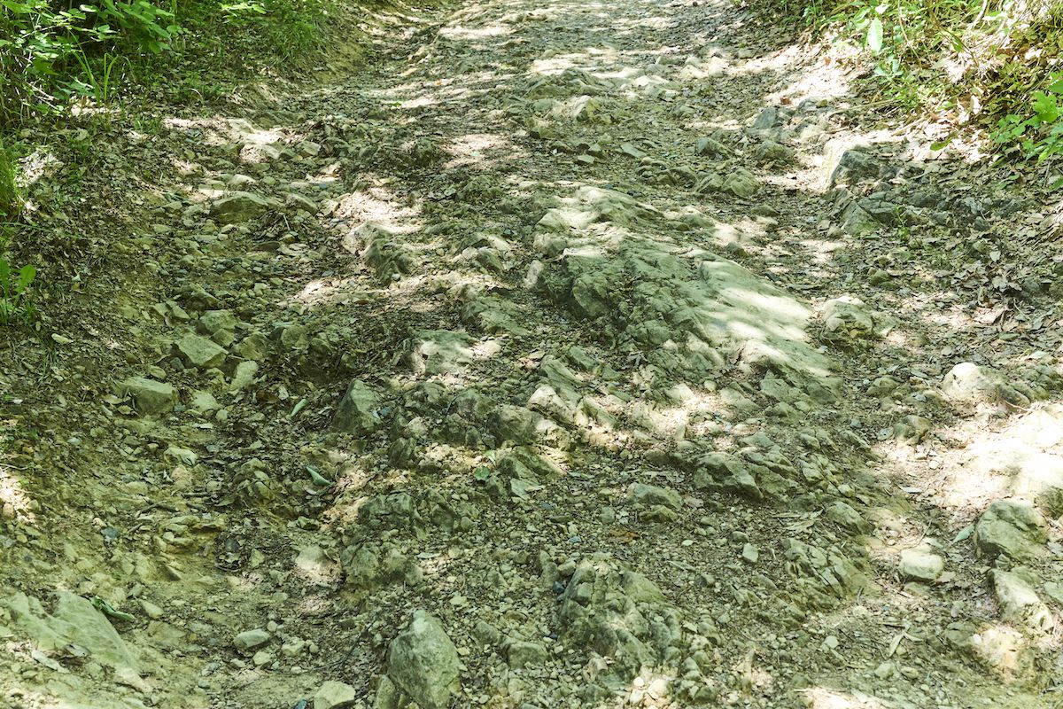 青梅丘陵ハイキングコース