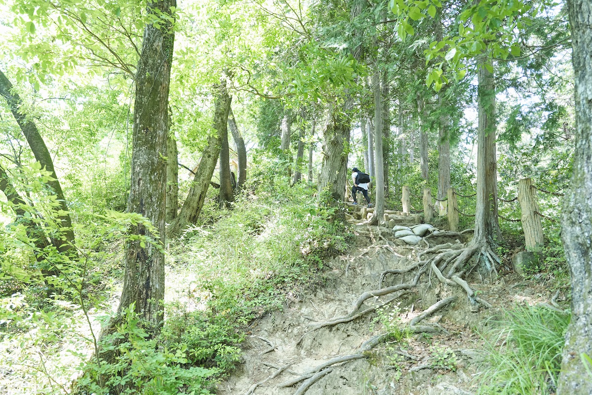 青梅丘陵ハイキングコース