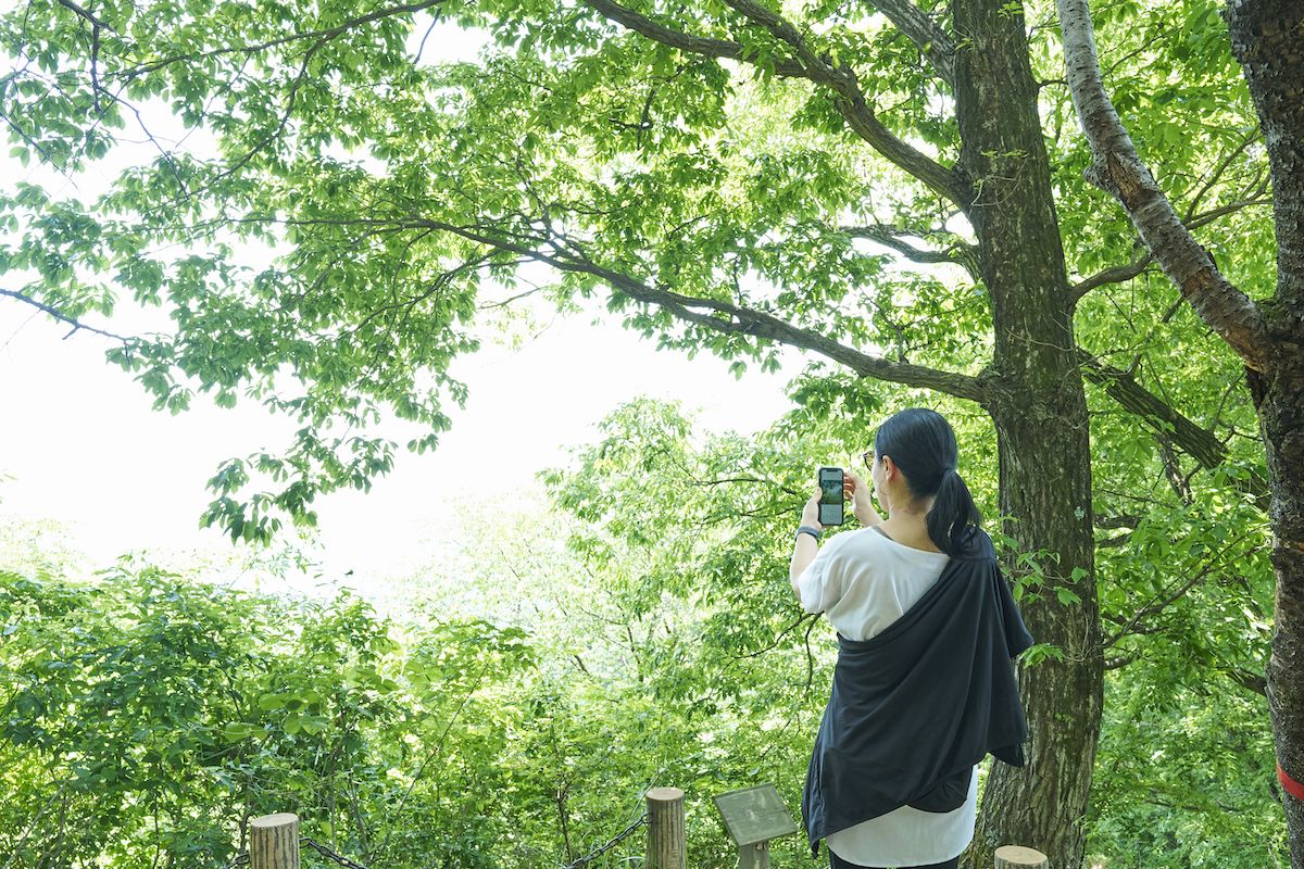 青梅丘陵ハイキングコース