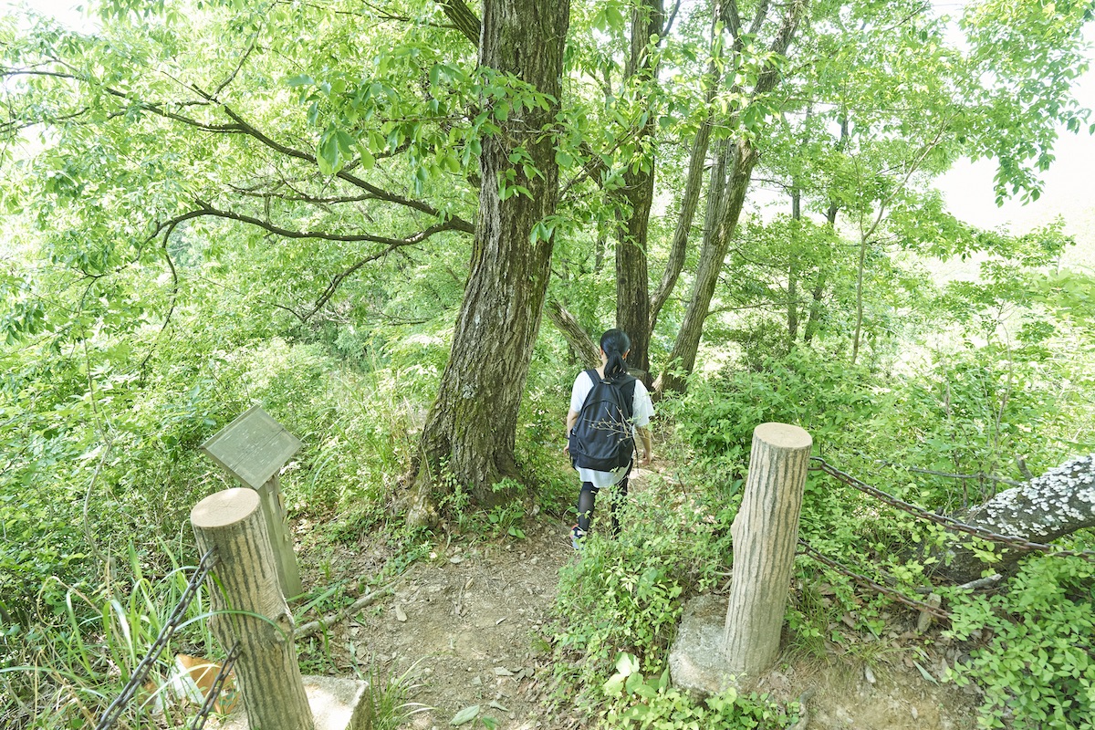 青梅丘陵ハイキングコース