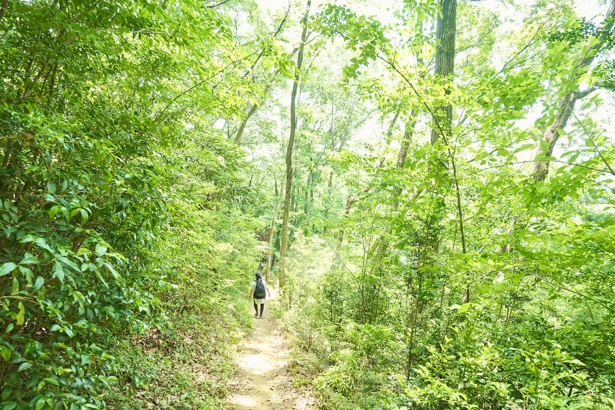 青梅丘陵ハイキングコース