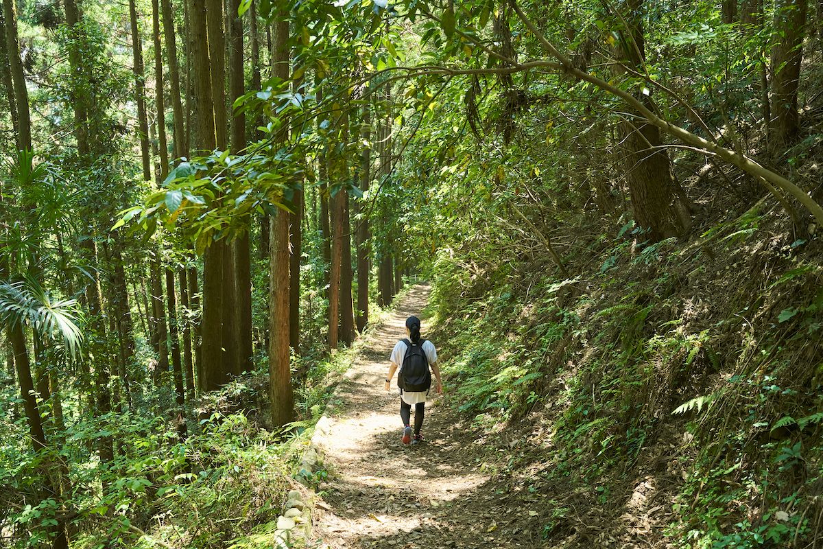 青梅丘陵ハイキングコース