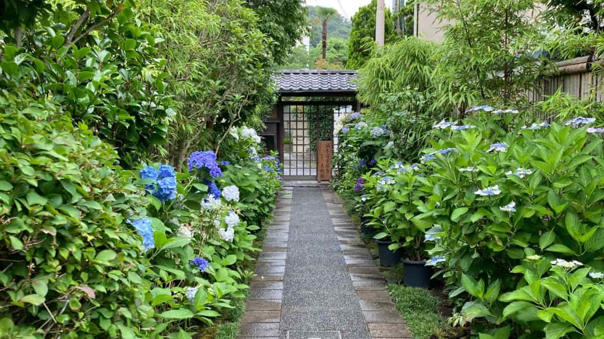  画像提供：鎌倉市鏑木清方記念美術館