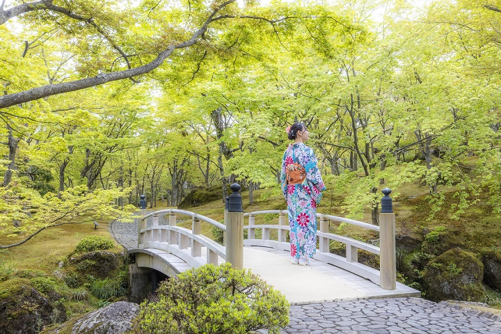 絵画のような1枚を撮影できる