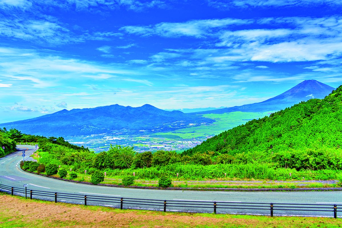 カーブに気を付けて運転して