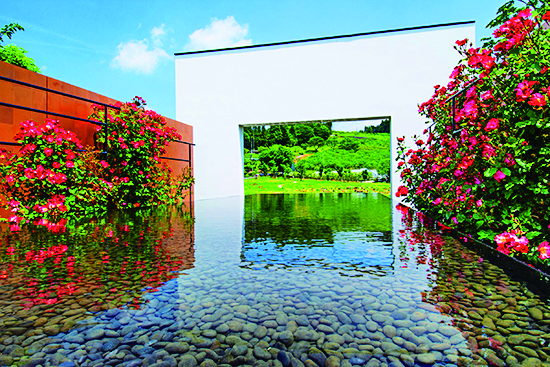 写真映えも間違いなし♪