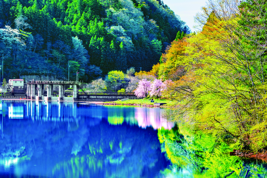 マオ旅四国沖縄九州