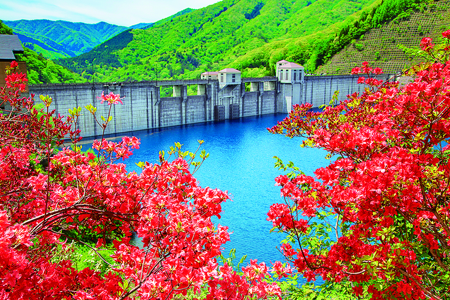 季節によって表情を変える「奥四万湖」