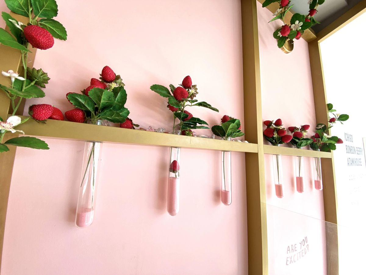 ※3階は「いちご農園」をイメージ