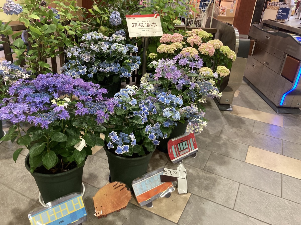 アジサイの鉢植えとともに、新型車両のアレグラ号など各種車両、急勾配の80‰（パーミル）を示す標識などであじさい電車を表現。手作り感がいい雰囲気