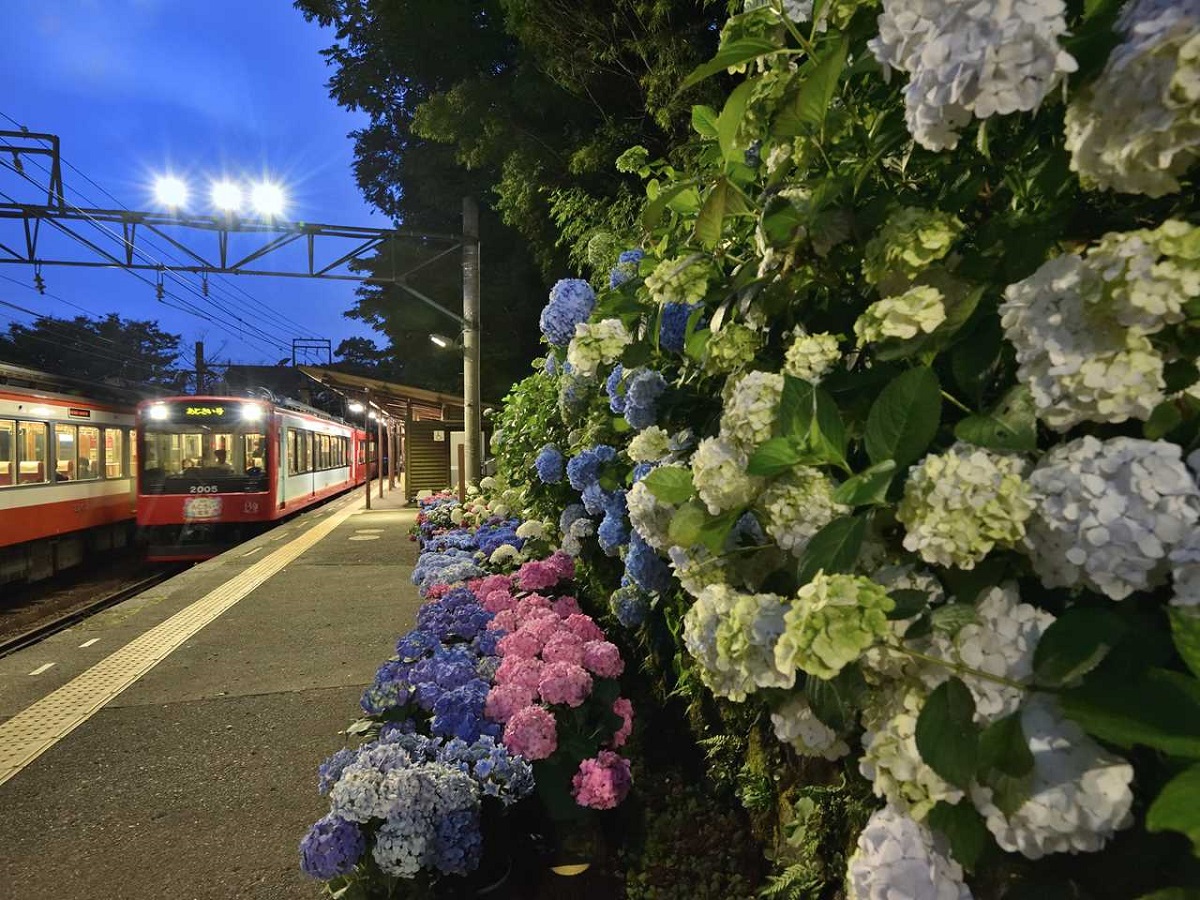 「夜のあじさい号」の記念撮影タイム